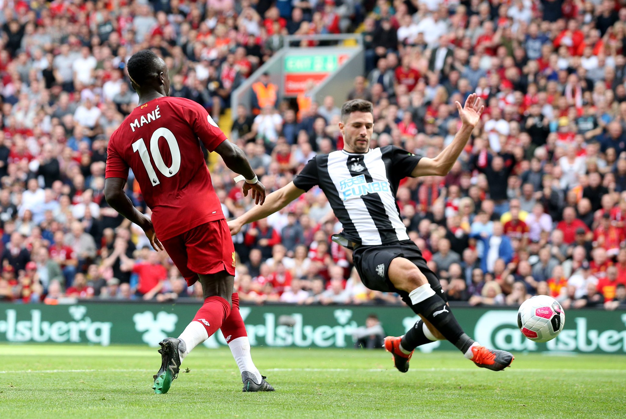 引入了众多 引入了众多